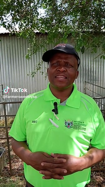 MEC Madoda Sambatha explains that the Goat Aggregation Programme is designed to provide significant support to farmers. In this video, he offers insights into how the programme works and highlights the various ways in which the department is assisting farmers. #FarmersWeeklySA #agriculturetiktok #northwestprovince #farmersday #goatfarming #goatmeat #studbreeder #farmingsouthafrica