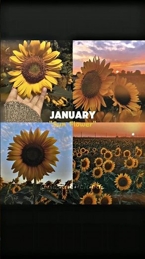 Birth Month = Your Flower 🌼✨ | #fyp #fypシ゚viral