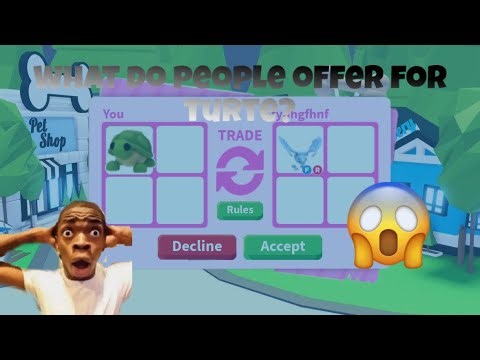 What people offer for TURTLE in Adopt Me 2025!!!