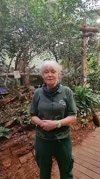 How do sloths defend themselves from predators?