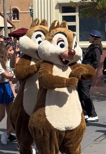 The chipmunk conga line #disneyworld #waltdisneyworld | Disney World