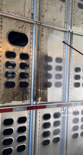 Cuttin like butter#389peterbilt #359peterbilt #379peterbilt #389 #379 #359 #cattle #cattl #cattletruck #cattletruckin #cows #cow #cowboy #cowsoftiktok #cowshit