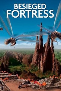 The Besieged Fortress | Audience Reviews