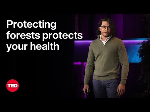 How to Stop the Next Pandemic? Stop Deforestation | Neil Vora | TED