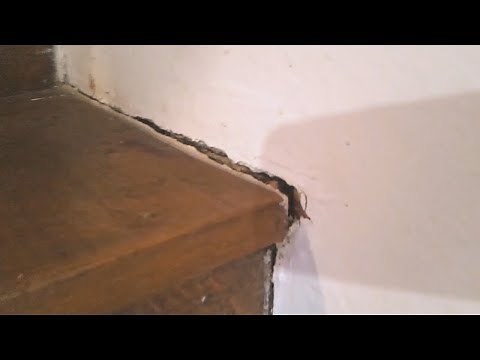 Quick Fixing Guide To cracks On A Staircase
