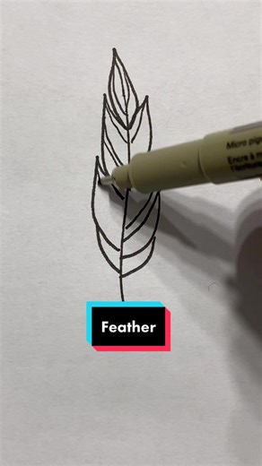 Mastering Doodle Art: How to Draw a Feather Tutorial