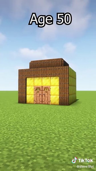 Houses At Different Ages(Worlds Smallest Violin) #fyp