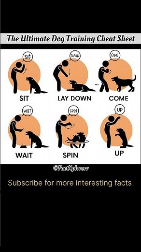 Visual Guide to Basic Dog Commands#trend