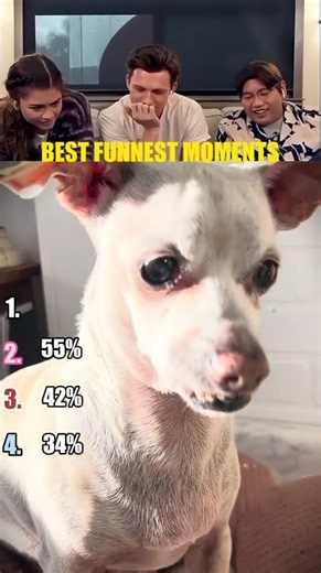 Which one made you laugh 😂 #funny #viralvideo #shorts