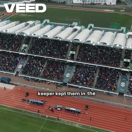 wolves v everton carabao cup highlights