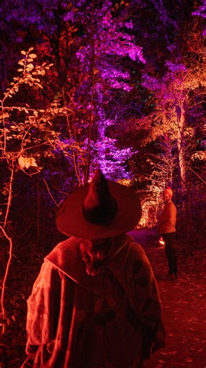 The first night of The Great Pumpkin Trail was a graveyard smash! We couldn’t have asked for a better way to kick things off. • 1km trail through Hendrie Valley guided only by the light of jack-o-lanterns • Giant fair pumpkins, pumpkin mural, mosaic pumpkin features, and plenty of picture-perfect moments • @madsciencegroup • Campfire songs with @moguzmanmusic • Live artistic carving with @compass.creation and @serialpeeler • The Witches Fire Show with @northfirecircus & @basswitchcoven • Roaming