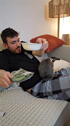 Looks like Chester has found a new person to pick on 🤭 | Chester the Dutchie