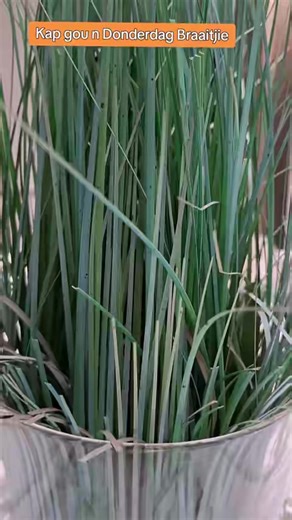 Ultimate Guide to Braai: Tips and Techniques