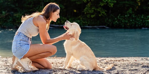 Scientists discover humans can connect with dogs' brains just by looking at them