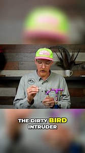 40K views · 210 reactions | If you are looking for a fly that offers...