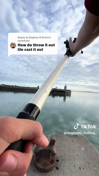 Replying to @Eoghan O Brien #fyp #fish #fishing #fyp #viral