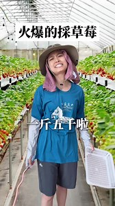 草莓不錯吃啦！採草莓趣｜塑料姐妹