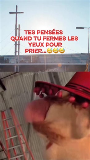 Tu as déjà vécu ce moment où tu fermes les yeux pour prier… et tes pensées partent dans tous les sens ? 🤯 Difficile de se concentrer, difficile de rester centré sur Jésus. On passe tous par là — mais c’est souvent dans ces moments-là que Dieu veut recentrer notre cœur. 🙏 | Josué Peterschmitt