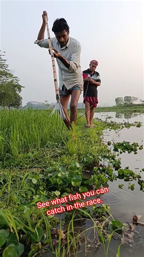 See what fish you can catch in the race. #vrial #fishing #handfish #fishingtips #fish #fishingtech