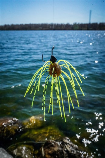 This crazy new bait (Cue Bomb) from Geecrack USA resembles a beetle or a bug, and it pairs perfectly with the new Core Tackle 1/8oz Wacky Shot. Check it out at https://coretackle.com/ or the link in our bio. - #coretackle #bassfishing #fishinglures #bassfishinglures #largemouthbass #fishinggear | Core Tackle