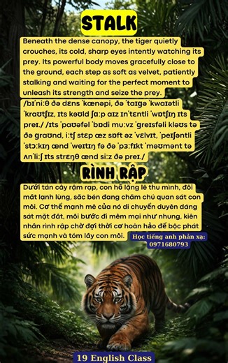 "Rình rập" tiếng Anh là gì? #vocabulary #19english #studywith #hoctienganh #facts #podcast