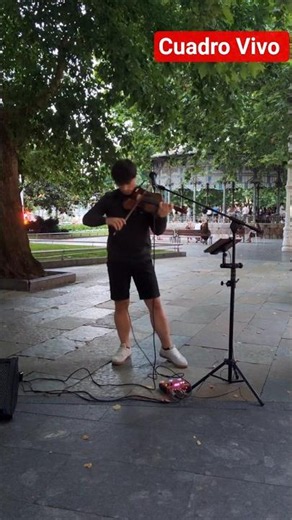 Txoria Txori ✨4K Violin