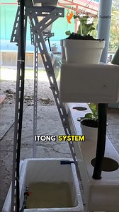 9.8K views · 78 reactions | Part 3 - Level up: new system,...