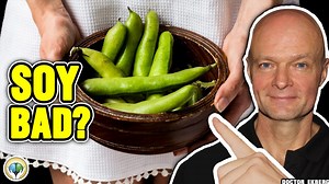 best plant based sources of iron review: All the Stats, Facts, and Data You'll Ever Need to Know