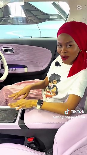 Discover the Stylish Dongfeng Box for Effortless Driving