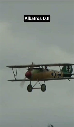 Albatros D.II Jagdflugzeug des 1.Weltkrieg