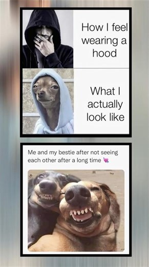 How I Think I Look vs How I Actually Look 😂🐶Hoodie Confidence vs Reality Check 😭#shorts #trending