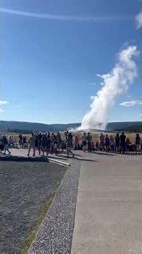 Old Faithful Erupts! Yellowstone’s Most Iconic Geyser 🌋