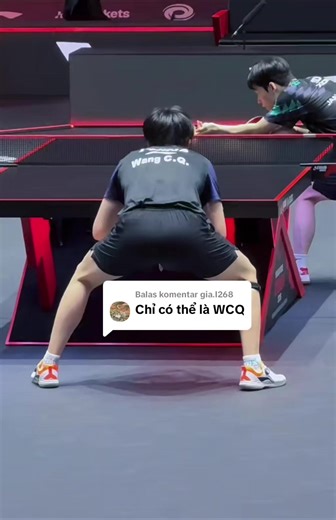 Set Up Bet Sanwei T5000 untuk Pemula Pingpong