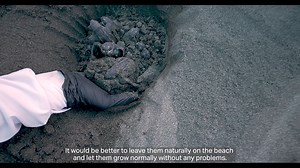 11K views · 131 reactions | One of the most significant threats to...