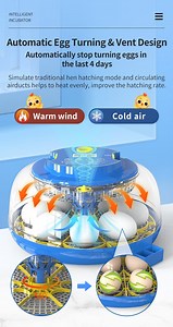 [Hot Item] Hhd Wonegg Ew-M12h Chicken Egg Hatching Machine Fully Automatic Ncubator Controller