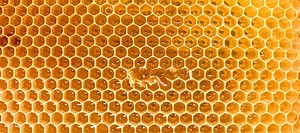 Medihoney Wound Gel Produkt