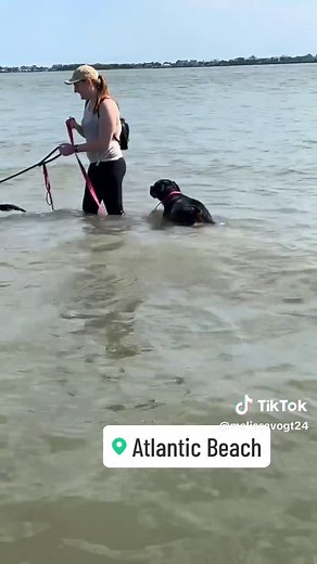 Beach day for my babes 💕