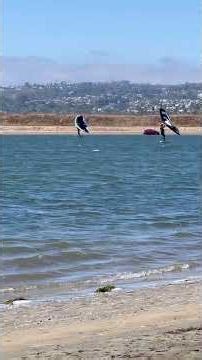 Thijs- The Shire/ March 26