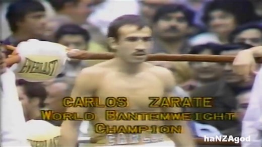 Carlos Zarate - Body Punching (haNZAgod)