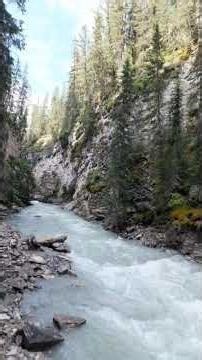 My Lord, Don’t Let This Cup Pass Me By Trusting God in Pain & Purpose #god #prayerandpurpose #prayer