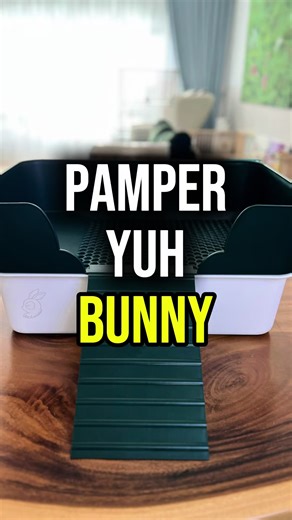 Rabbit Productivity Report: Results and Questions