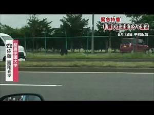 📡北海道の情報を24時間配信～ #北海道ニュースUHB LIVE