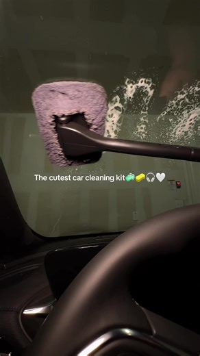 Essential Car Cleaning Kit for Sparkling Interiors