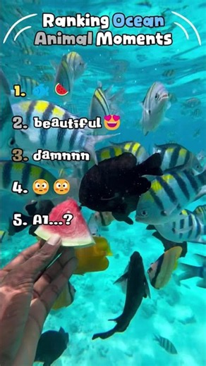 Ranking Ocean Animal Moments 🐟🦈