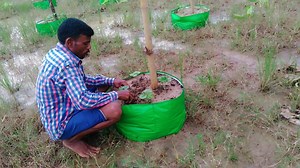 Earn 10 Lakhs in a Year With Only 1 Acre of Farming Land