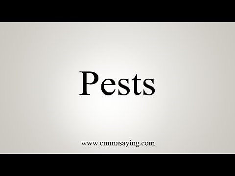 How To Say Pests