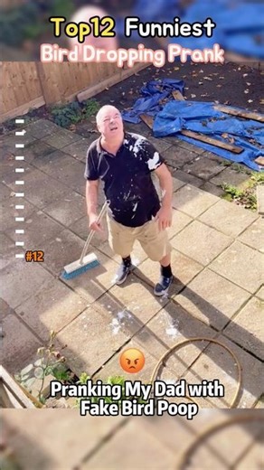 Funny bird dropping prank #funny #prank#birdtrap #youtubeshorts #fypシ゚viral