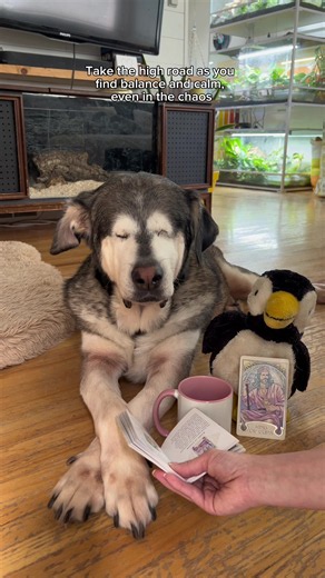 Happy Friday mug and merch — Horace & Friends shop