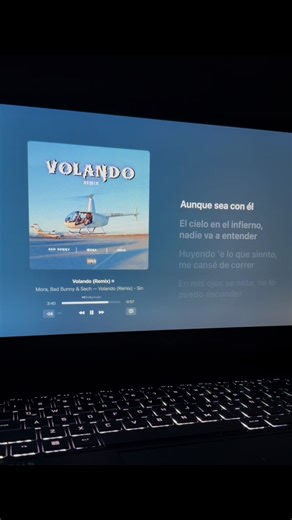 Aunque sea con el 🥺 #volandoremix #volando #badbunny #mora #sech #richmusic