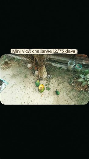 Day 12 | mini vlog challenge | 75 days mini vlog challenge #day12 #minivlog #75dayschallenge
